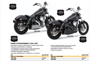 cobra visuel dyna